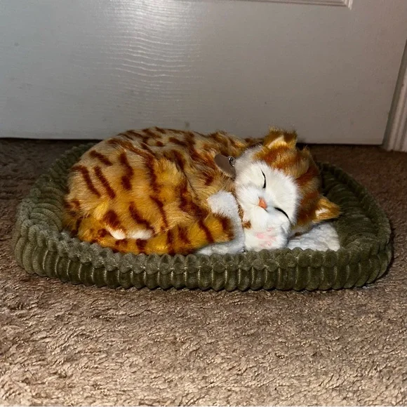 Perfect Petzzz Gray Tabby Cat W/Bed Battery and Adoption Papers - Picture 5 of 11